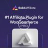 Solid Affiliate - Adds an Affiliate Platform to Your WordPress Store