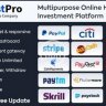 InvestPro - Wallet & Banking Online Hyip Investment Platform