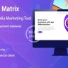 SMM Matrix  - Social Media Marketing Tool